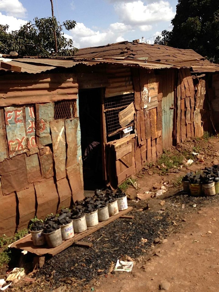 doug-warkentin-carousel2-10b