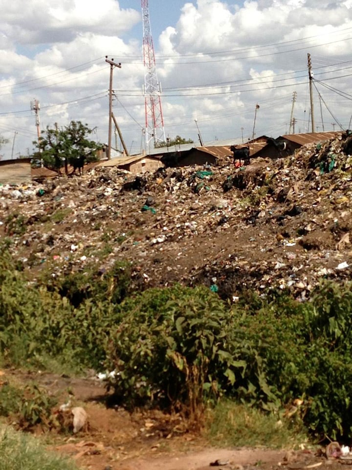 doug-warkentin-carousel2-9b